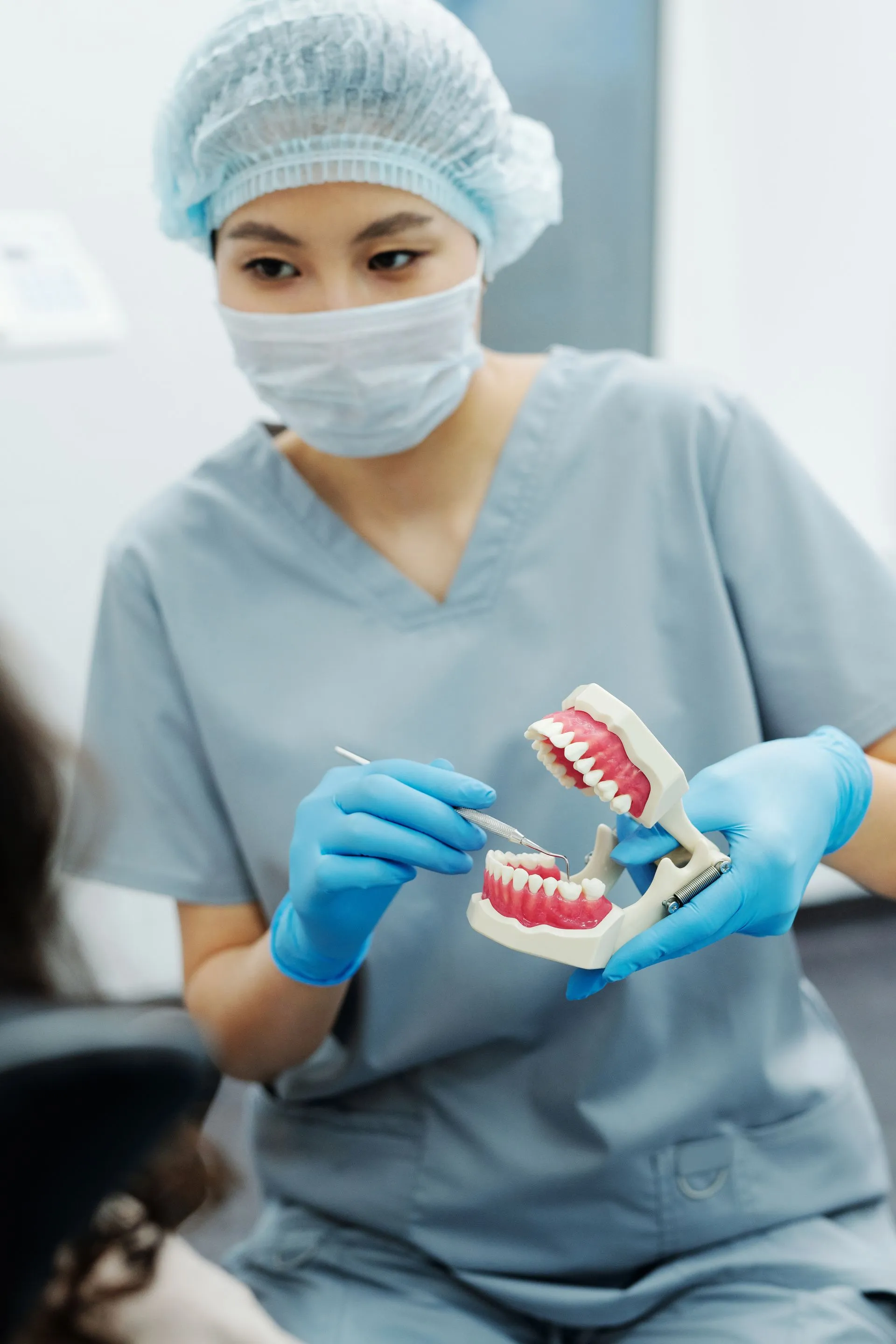 Profesional dental sosteniendo un modelo de dentadura